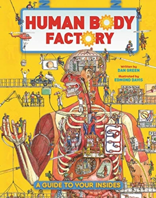 Human Body Factory: A Guide To Your Insides
