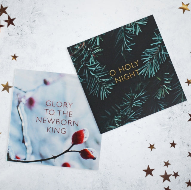 SPCK Charity Christmas Cards, Pack of 10, 2 Designs: Festive Scene