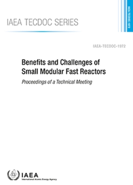 Benefits and Challenges of Small Modular Fast Reactors: Proceedings of a Technical Meeting