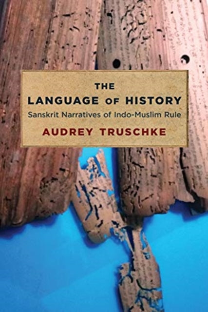 Language of History: Sanskrit Narratives of Indo-Muslim Rule