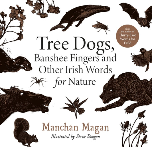 Tree Dogs, Banshee Fingers and Other Irish Words for Nature