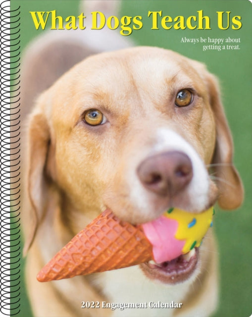 What Dogs Teach Us 2022 Engagement Calendar, Spiral Planner