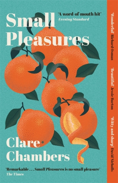 Small Pleasures: Longlisted for the Women's Prize for Fiction 2021