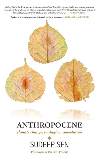 Anthropocene: Climate Change, Contagion, Consolation