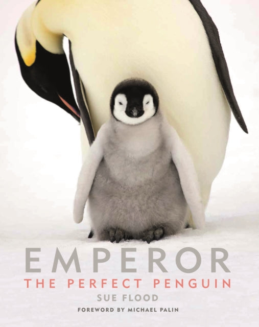 Emperor: The Perfect Penguin