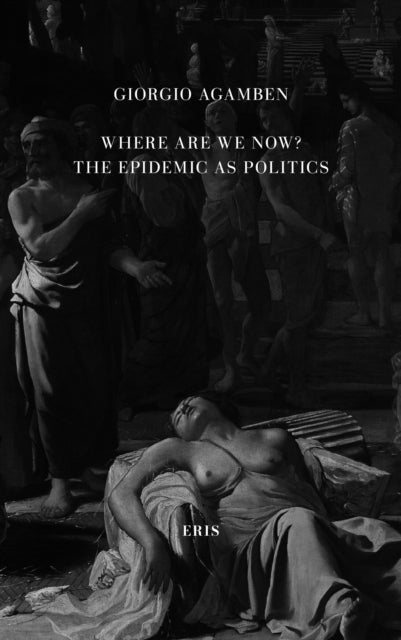 Where Are We Now?: The Epidemic as Politics