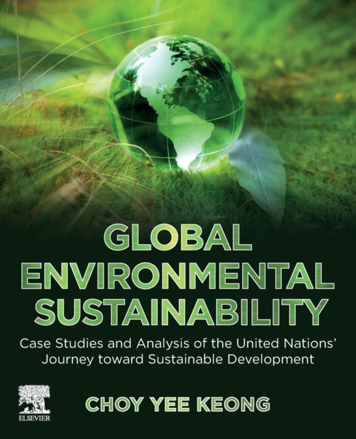 Global Environmental Sustainability: Case Studies and Analysis of the United Nations' Journey toward Sustainable Development