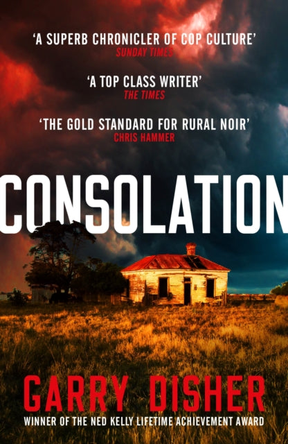 Consolation: Constable Hirsch Mysteries 3