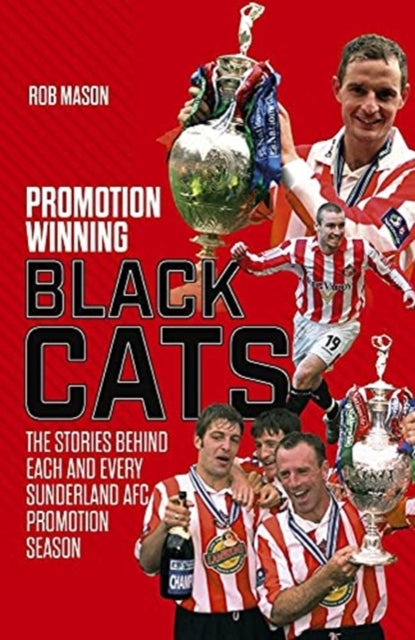 Promotion Winning Black Cats: The Stories Behind Each and Every Sunderland AFC Promotion Season