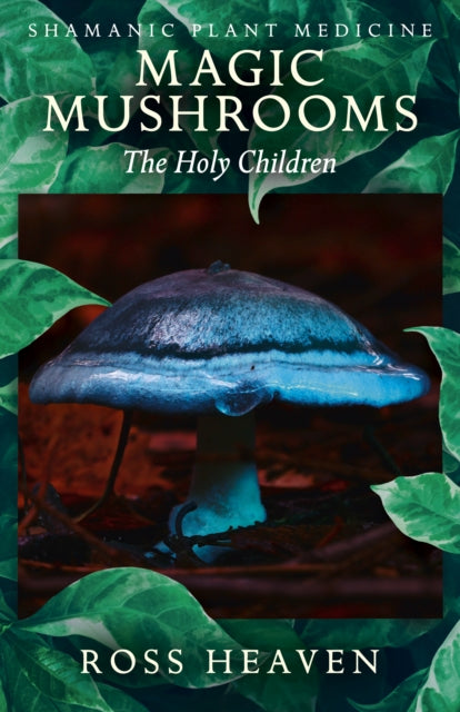 Shamanic Plant Medicine  - Magic Mushrooms: The Holy Children