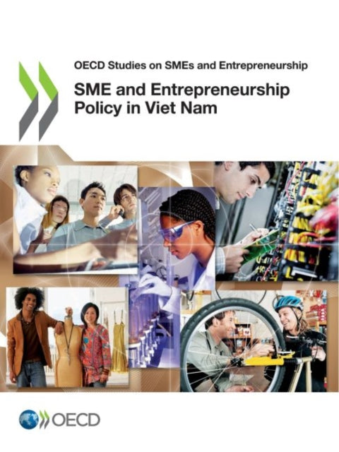 SME and entrepreneurship policy in Viet Nam