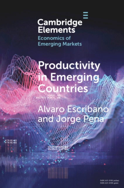 Productivity in Emerging Countries: Methodology and Firm-Level Analysis based on International Enterprise Business Surveys