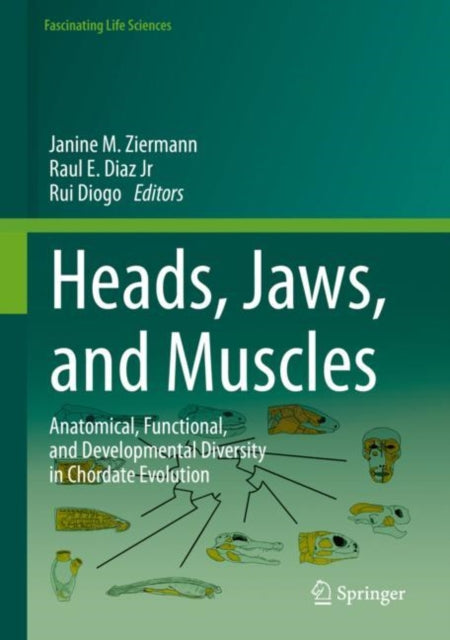 Heads, Jaws, and Muscles: Anatomical, Functional