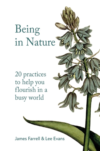 Being in Nature: 20 practices to help you flourish in a busy world