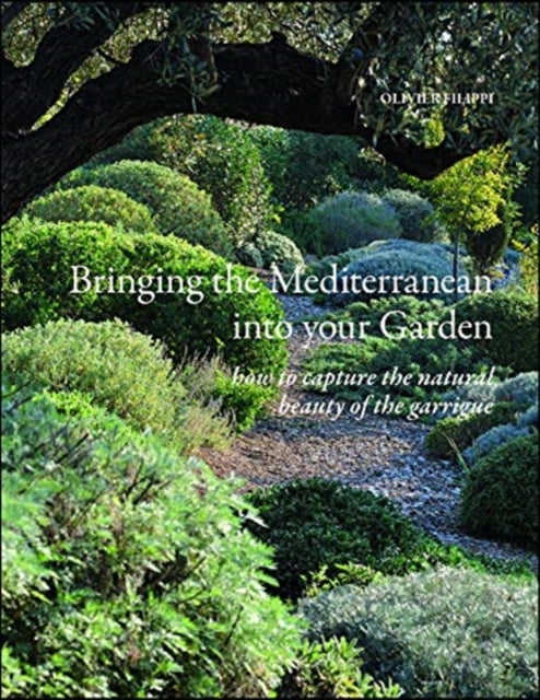 Bringing the Mediterranean into your Garden: How to Capture the Natural Beauty of the Garrigue