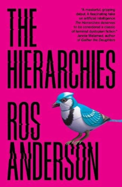 Hierarchies
