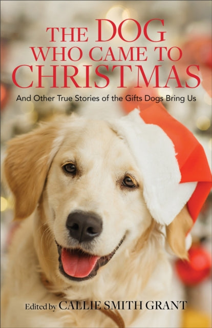 Dog Who Came to Christmas: And Other True Stories of the Gifts Dogs Bring Us