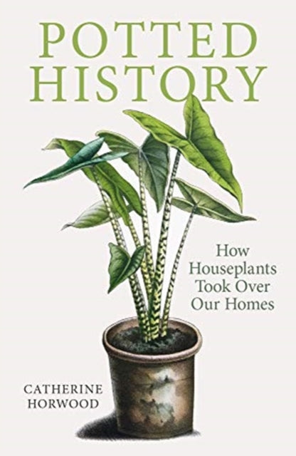 Potted History: How Houseplants Took Over Our Homes