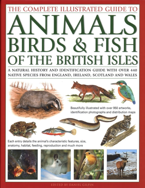 Animals, Birds & Fish of British Isles, Complete Illustrated Guide to: A natural history and identification guide with over 440 native species from England, Ireland