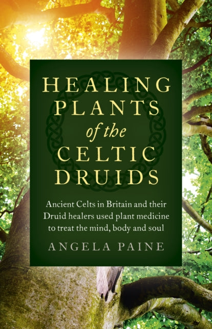 Healing Plants of the Celtic Druids - Ancient Celts in Britain and their Druid healers used plant medicine to treat the mind, body and soul