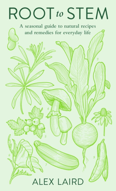 Root to Stem: A seasonal guide to natural recipes and remedies for everyday life